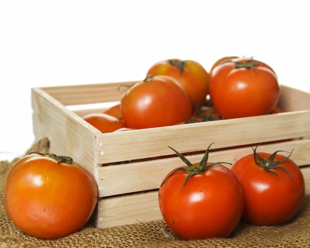 Хранение помидоров в домашних условиях. Помидоры в ящике. Ящики для хранения помидо. Ящик для помидоров деревянный. Ящик для овощей деревянный.