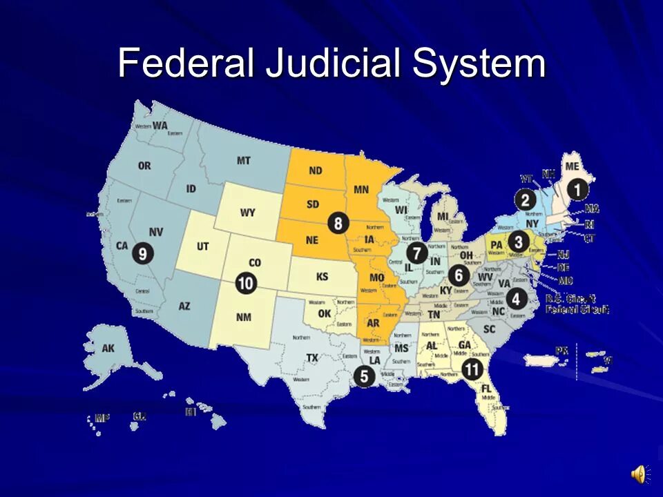 That the us system is. The federal system usa. state system. federal state of the visayas. us legal system.