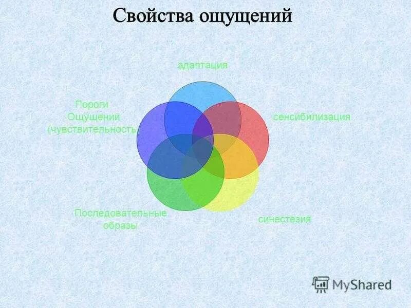 Синестезия ощущений. Адаптация сенсибилизация синестезия. Синестезия схема. Хроматическая адаптация.