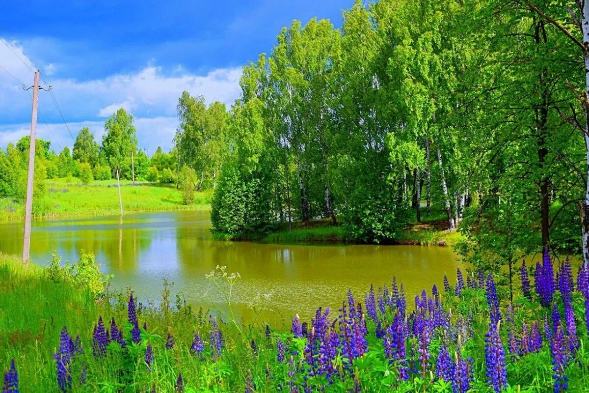 Лето в и н п т. Ах лето. лето ах лето. ах лето природа. ах лето картинки.