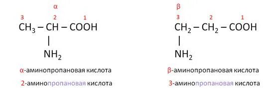 Формула 3 аминопропановой кислоты. Формула 2 аминопропановой кислоты. 2 Аминопропановая кислота формула. Глицин и 3 аминопропановая кислота. 3 аминопропионовой кислоты