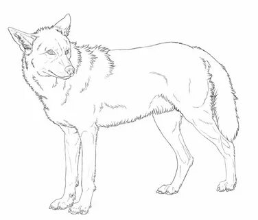 Line wolf