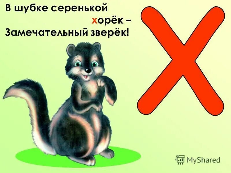 животные на букву х. азбука буква х. живая буква х. буквы алфавита для детей. буква х хомяк.