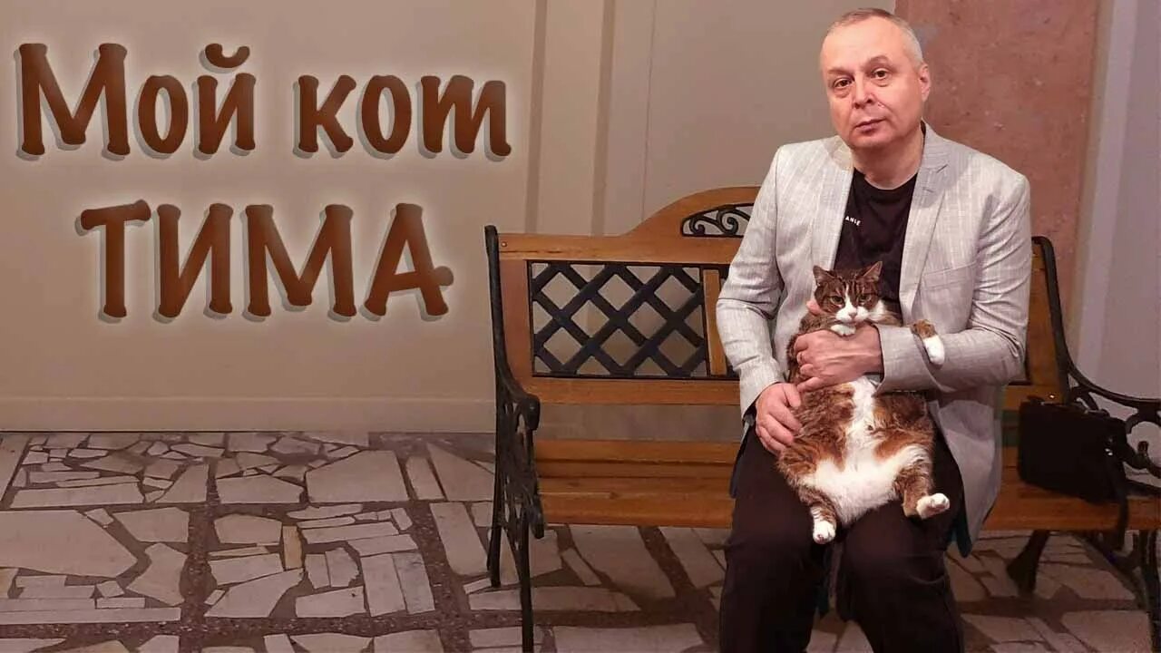 Тим кота. Кот тима. котик тима. фото кота тима.