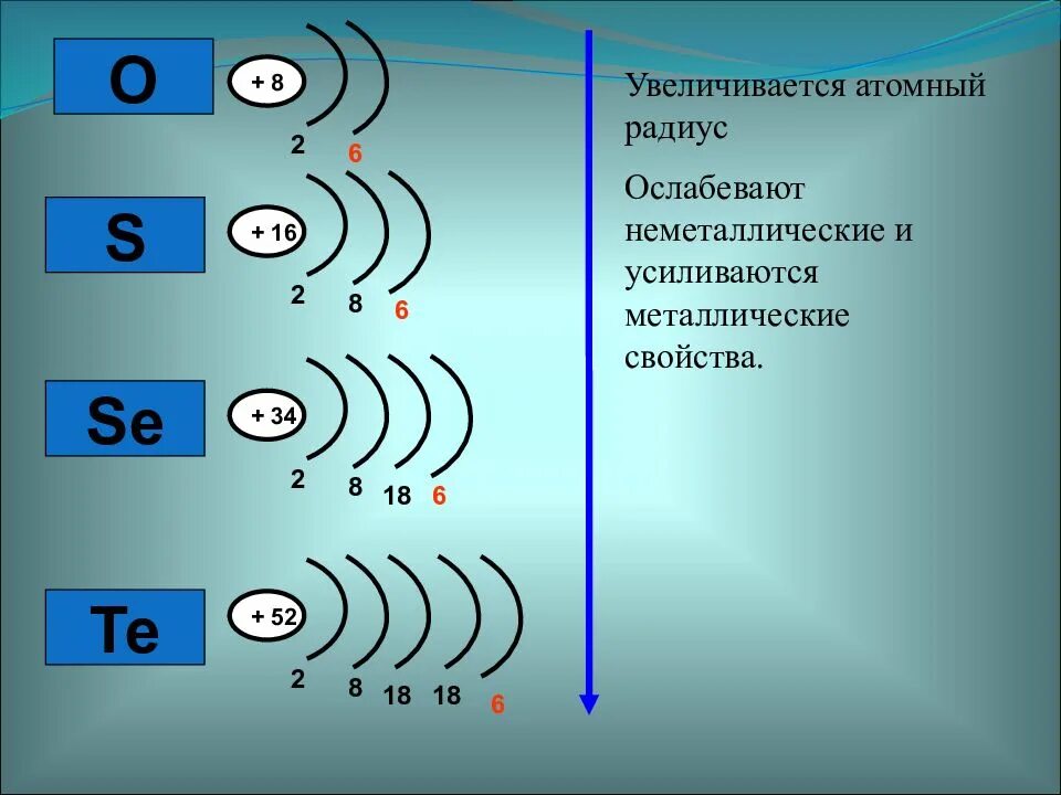 Изменение радиуса в группе. Халькогены строение атома. Строение атомов халькогенов. Атомный радиус. Радиус атома.