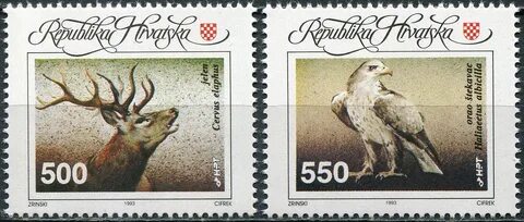 1993 животное