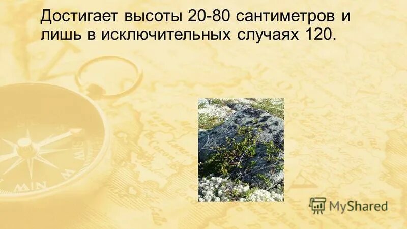 Достигает высоты в 80 см. Покорение вершин. Человек на вершине горы. Достигает высоты в 80 см. В сосуд имеющий форму правильной треугольной призмы налили.
