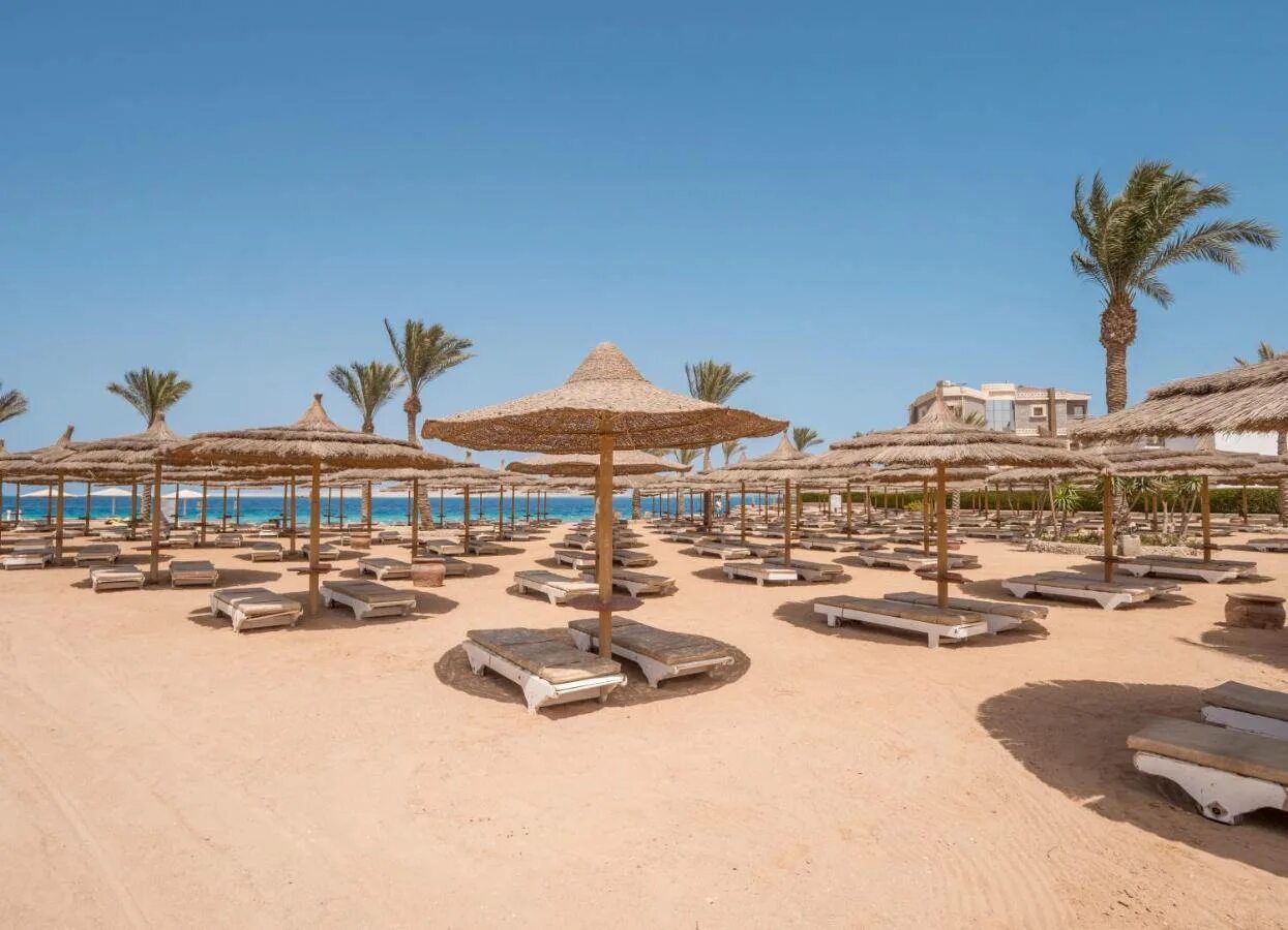 Hurghada seagull resort 4. Сиагулл отель 4 Хургада. Sea Gull Египет. Отель Seagull Beach Resort 4 Египет Хургада. Seagull Египет Хургада.