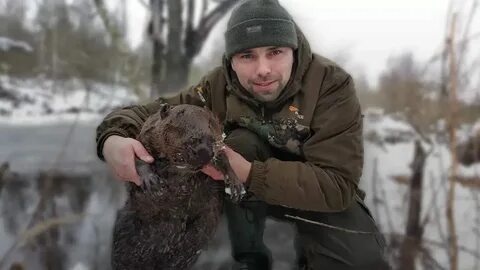 Бобр ремейк зимний