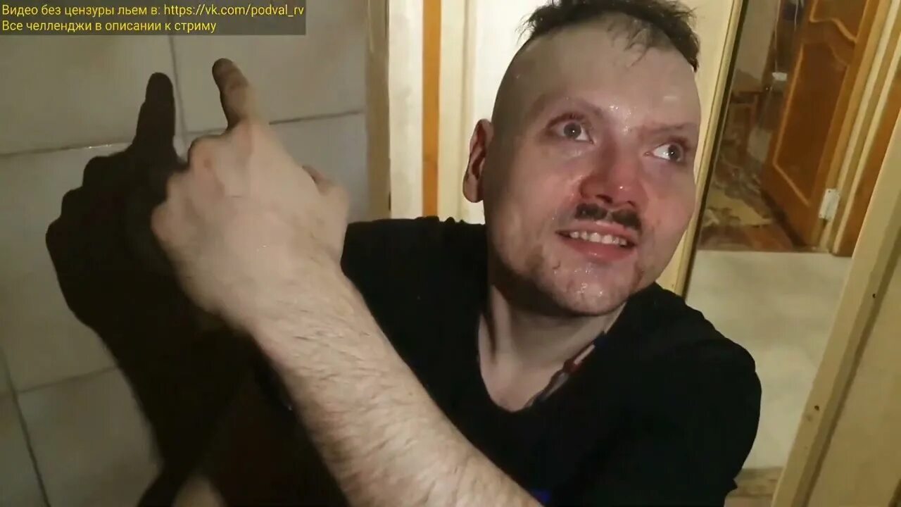 Маэстро рыба вжлинк. Маэстро стример. Маэстро рыба вжлинк. Маэстро рыба. Маэстро рыба вжлинк.