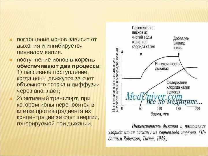 Установите последовательность поступления воды в корень. Поглощении ионов растением. Поглощение ионов клетками листа.. Процесс поглощения ионов корнями растений. Механизмы поглощения ионов растительной клеткой фаза поглощения.