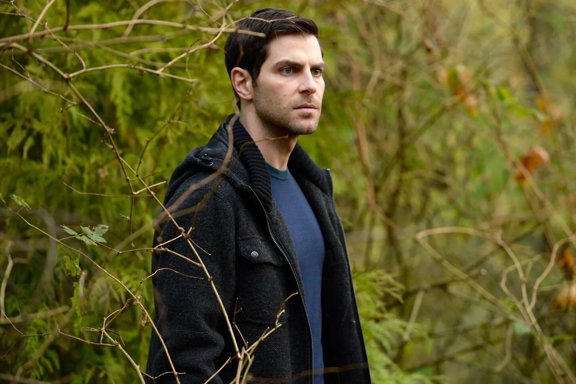 Гримм 6. Гримм 6. Гримм 6. Битси таллоч гримм. Гримм 6.