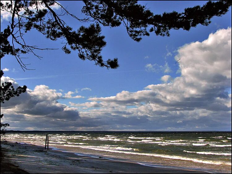 Ветер взморья. Рижское Взморье дюны. Юрмала Балтийское море. Дюны и море Юрмалы. Юрмала Взморье.
