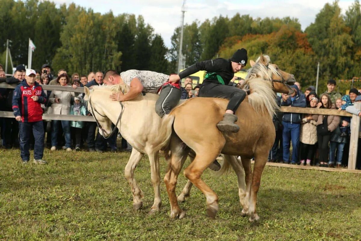 Сколько пройдет лошадь. Праздник с лошадьми. Аударыш борьба на лошадях. Фестиваль лошадей.