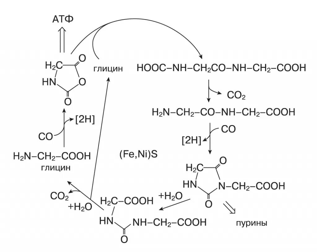 Глицин химические свойства. АТФ И глицин реакция. Цикл глицина. Глицин реакции. Синтез глицина.