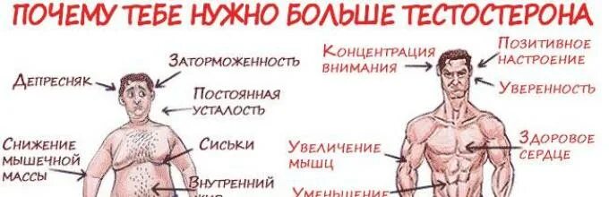 Как убрать живот в 50 лет мужчине. Упражнения для убирания живота и боков для мужчин. Как убрать жир с живота у мужчин. Тренировки для убирания живота мужчине. Упражнения для убирания жира для мужчин.