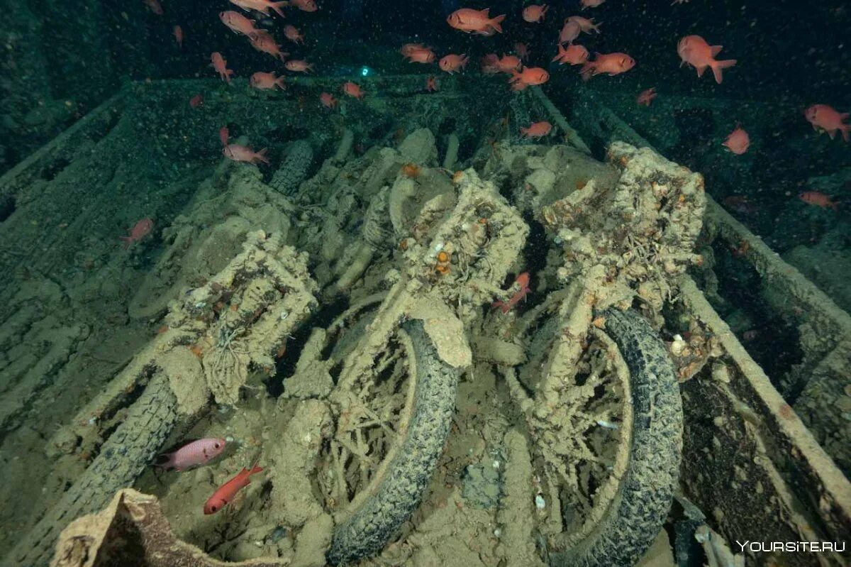 Сс море. Корабль SS Thistlegorm, красное море. Затонувший корабль в Египте Тистлегорм. Тистельгорм затонувший корабль дайвинг. Тистлегорм дайвинг.