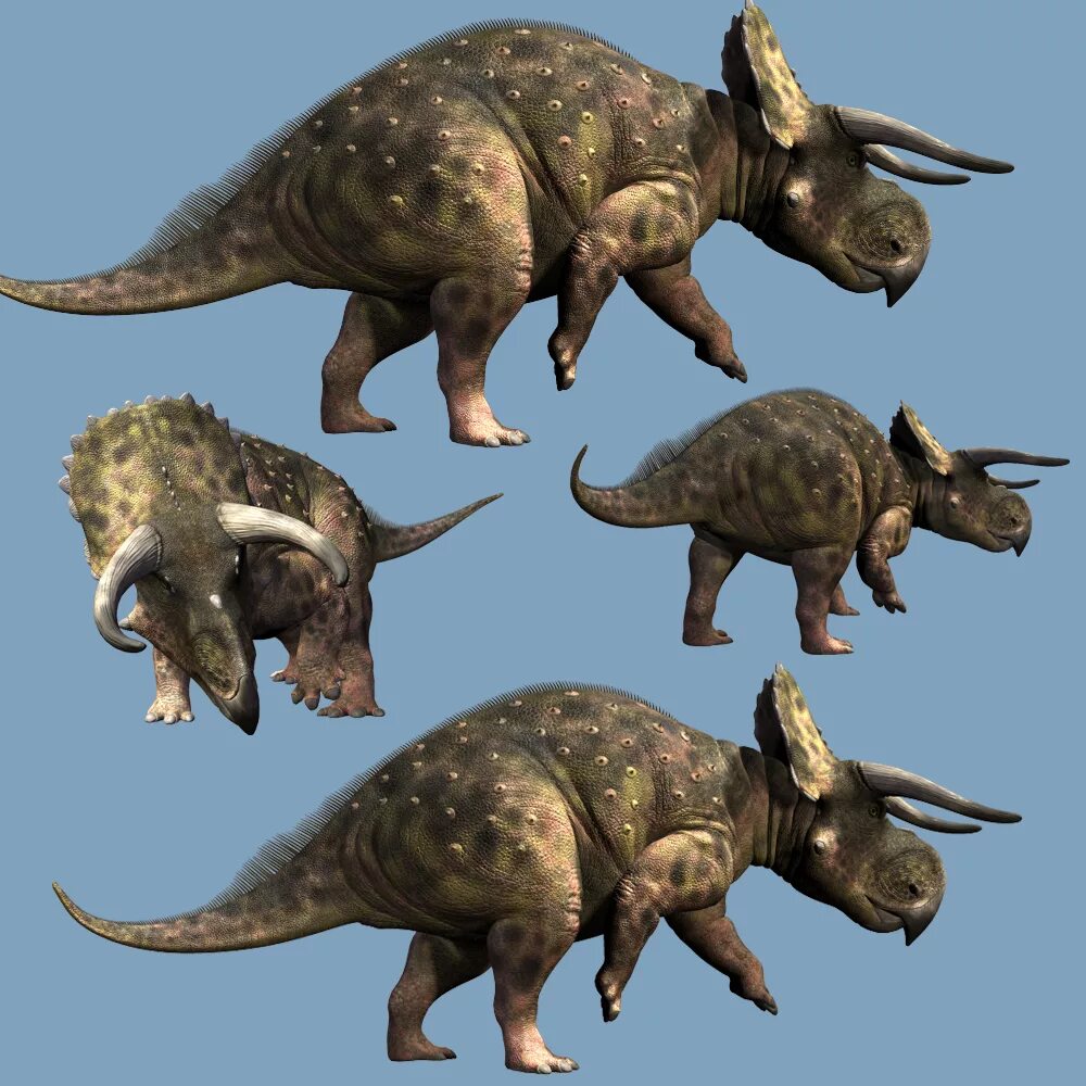 Цератопсы. Насутоцератопс Jurassic World. Nasutoceratops titusi. Насутоцератопс АРК. Цератопсиды Юрского периода.