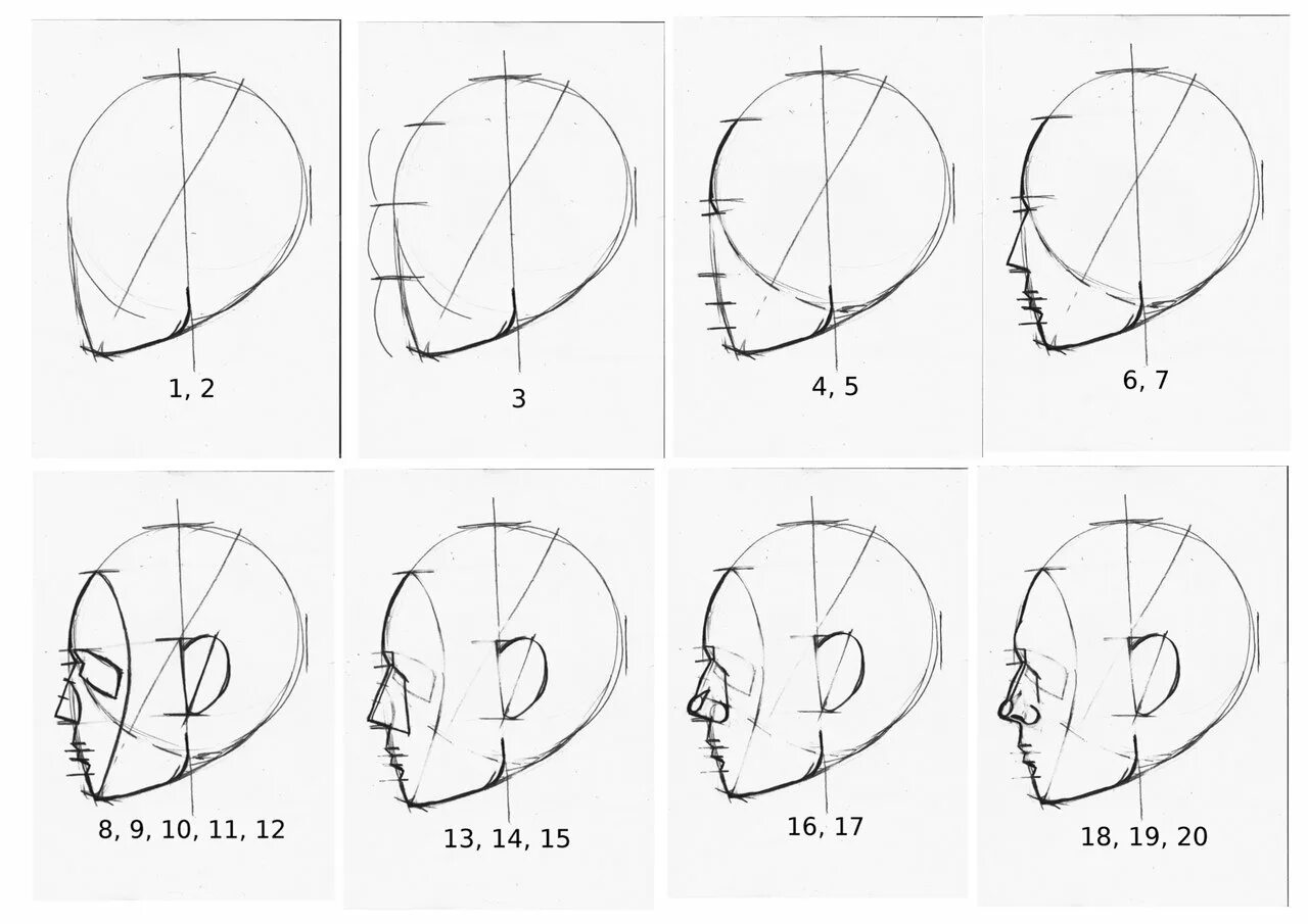 Построение головы человека сбоку. Схема построения головы сбоку. Схема лица сбоку. Схема построения лица в профиль. Профиль поэтапно