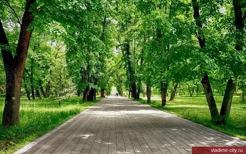 Образ аллеи