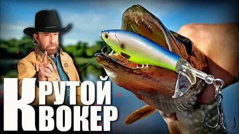 Квокер приманка