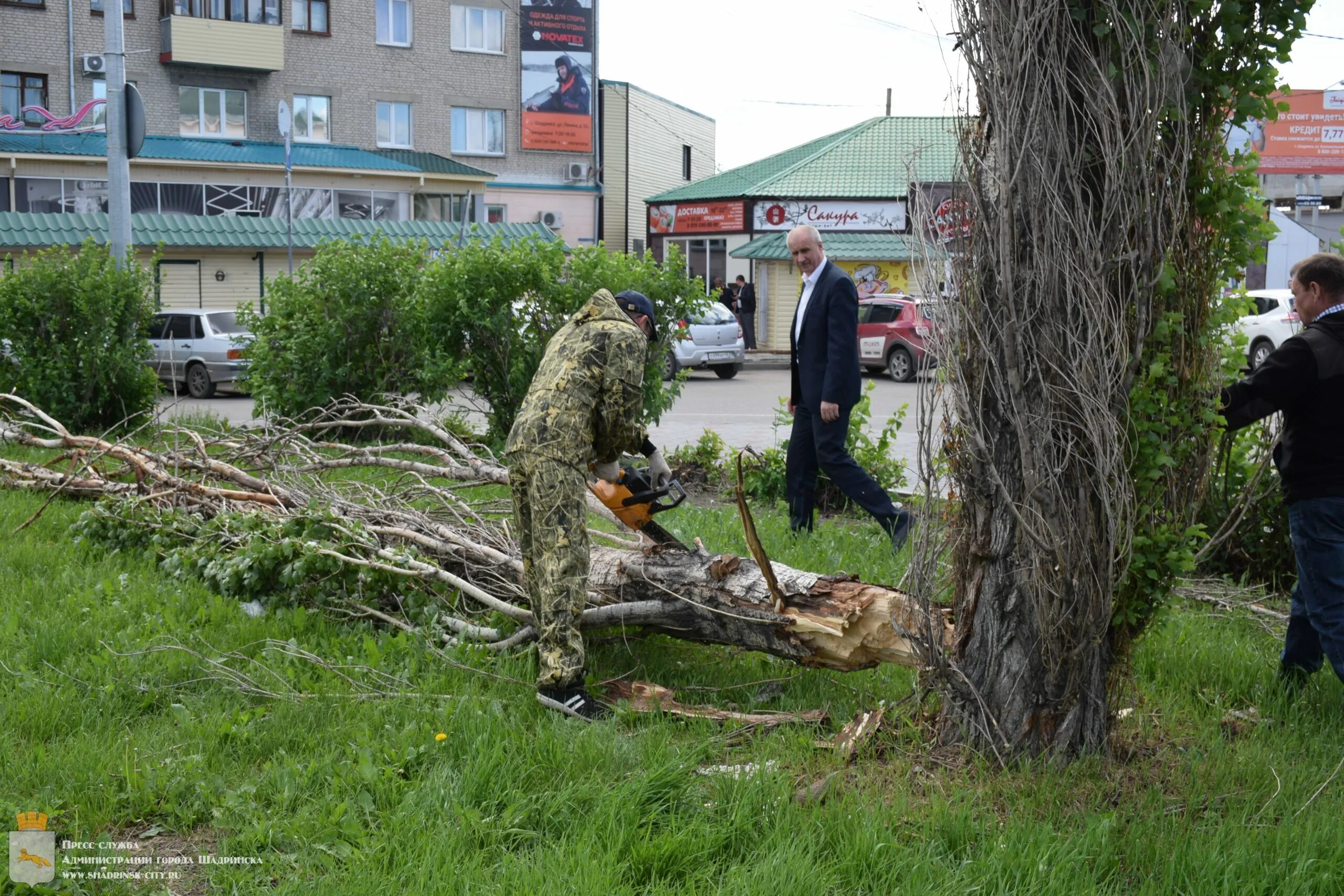 Г грозят. Упавшее дерево в городе. Ураганный ветер. Последствия урагана в городе. Падающее дерево в городе.