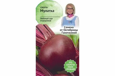 Свекла мулатка описание