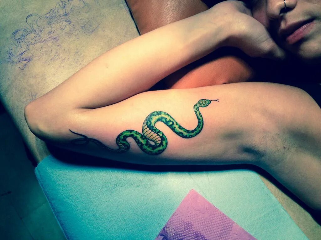Змеи в жопах девушек. Тату змеи. Тату змеи на руке. Тату змеи на руке девушки. Тату змея маленькая.