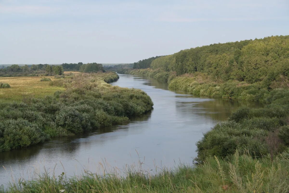 Реки свердловской области рыбалка. Река Ница Ирбит. Ница река в Свердловской. Река Ирбитка Свердловская область. С Ницинское река Ница..