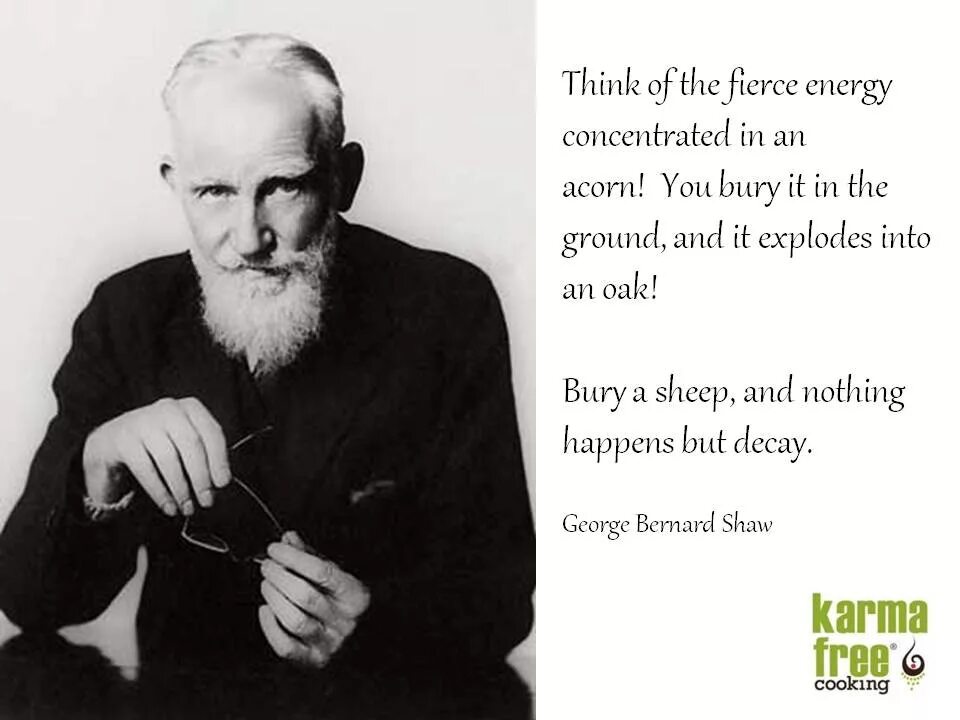 Бернард шоу (George Bernard Shaw, 1856–1950). Бернард шоу портрет. Джордж Бернард шоу портрет. Бернард шоу цитаты и афоризмы. Бернард шоу отзывы