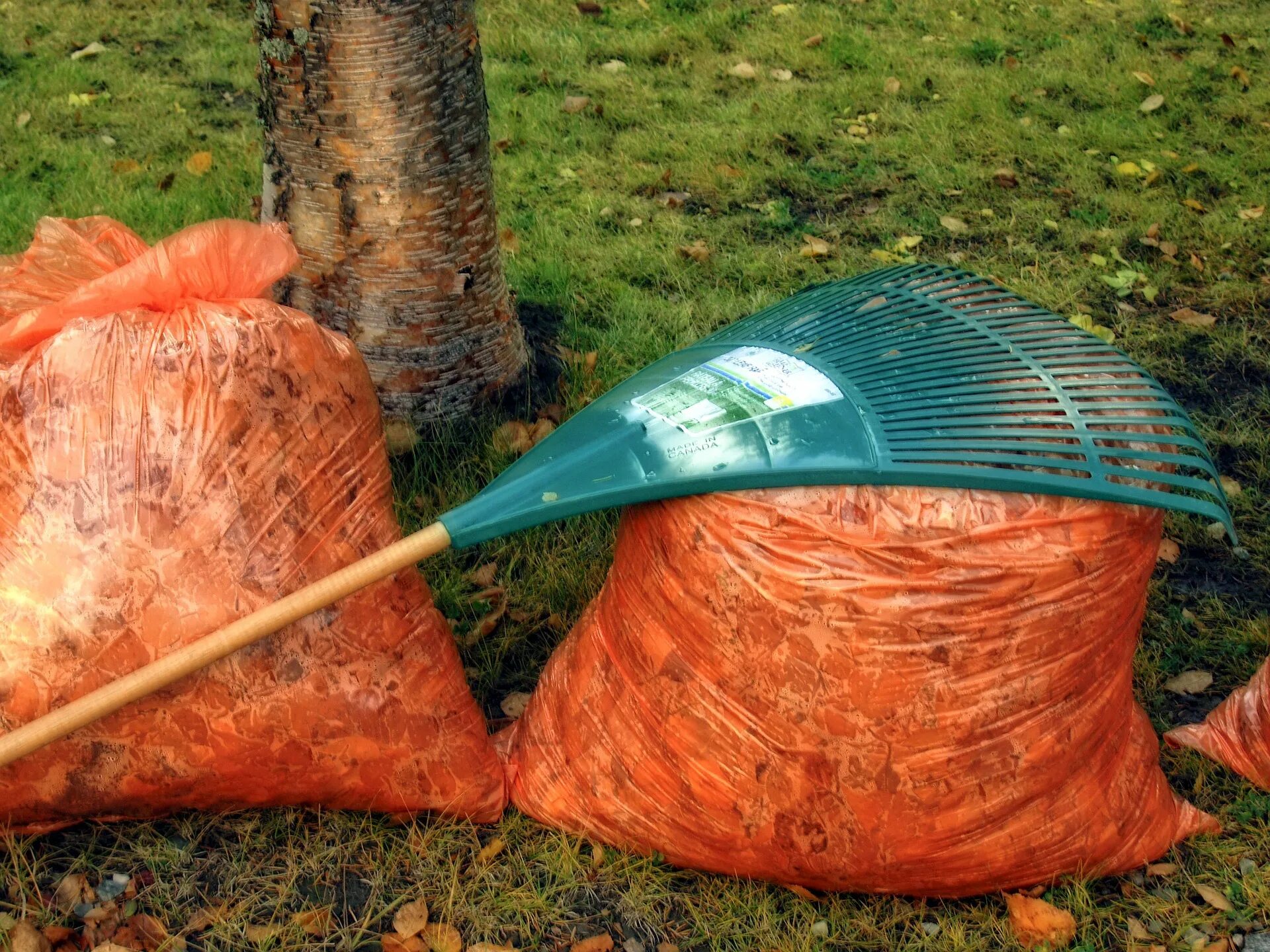 Yard cleaning. Мешки для уборки листьев. Мешок с листьями. Мешок опавших листьев -чучело. Мешки с осенними листьями.