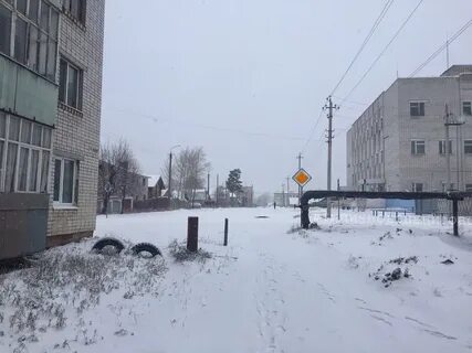 Типичное звенигово