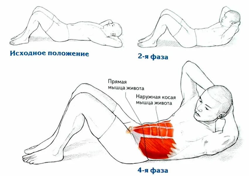 Как эффективно убрать живот мужчине. Скручивание с поворотом корпуса пресс. Упражнения на пресс скручивания с поворотом корпуса. Скручивания с поворотом корпуса (диагональное). Упражнение скручивания с поворотом корпуса для пресса.