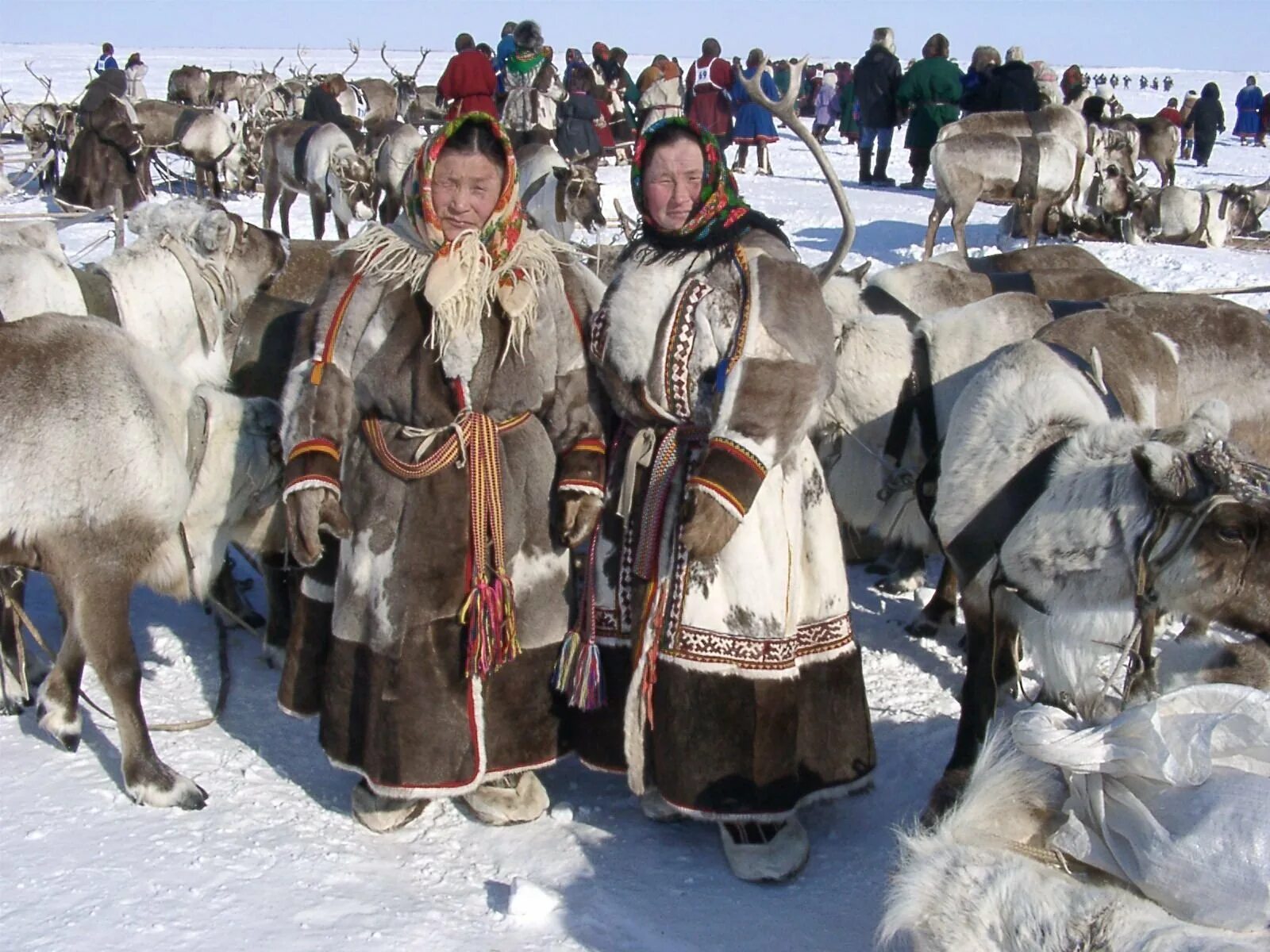 Чукчи Эскимосы Коряки. Коряки эвенки. Коряки Ительмены Эскимосы. Эвенки, эвены, нанайцы, Коряки, чукчи.