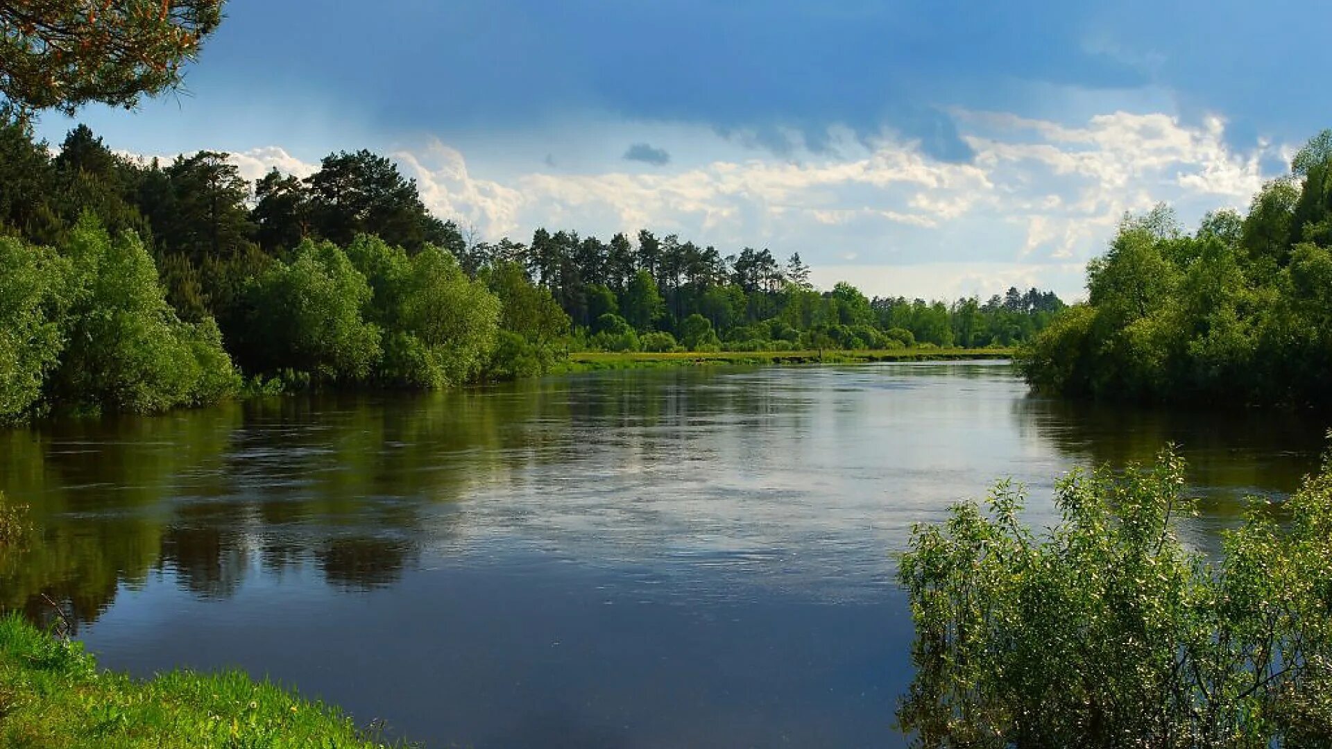 Река сож в беларуси фото. Река сож в беларуси. Река сож смоленская область. Область реки сож. Река сож хиславичи.