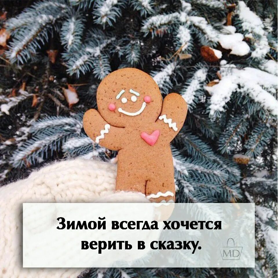 Смешные статусы про понедельник. Верьте в чудеса цитаты. Хочется зимней сказки. Юлий с мультика алеша попович. Хочу погулять.