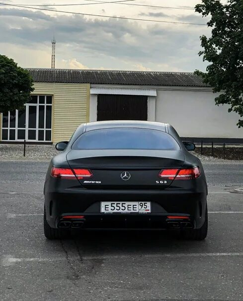 Акула на номере автомобиля что
