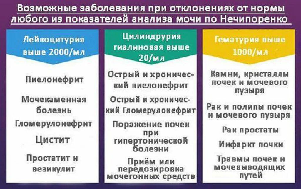 Анализ по Нечипоренко при гломерулонефрите. Анализ мочи по Нечипоренко при пиелонефрите. Исследование мочи по Нечипоренко при пиелонефрите. Нечипоренко анализ мочи при пиелонефрите.