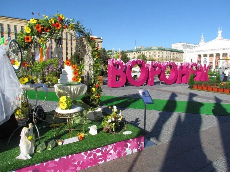 Цветники в воронеже. Цветы г воронеж. Цветы г воронеж. Цветочный фестиваль в воронеже. Воронеж столица черноземья.
