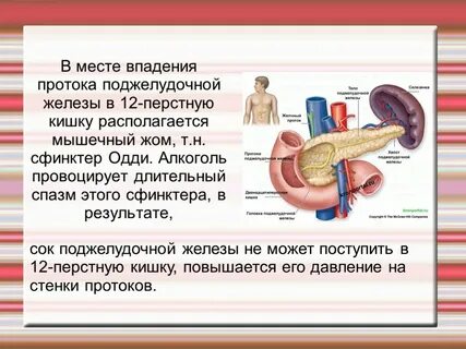 Сфинктер сжимался