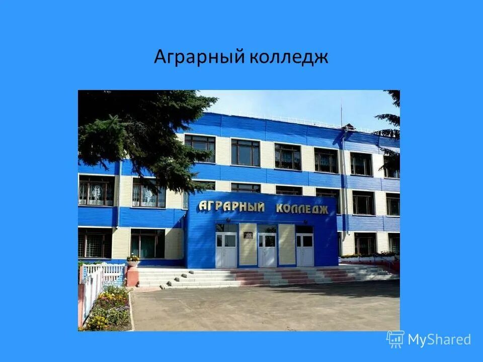 директор трубчевской сош 2. а. трубчевская сош 2. гимназия трубчевск брянская область. учителя трубчвской пушкинской школы.