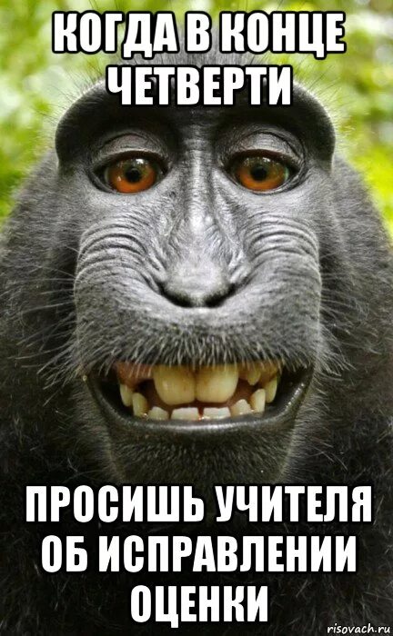 Когда началась третья четверть