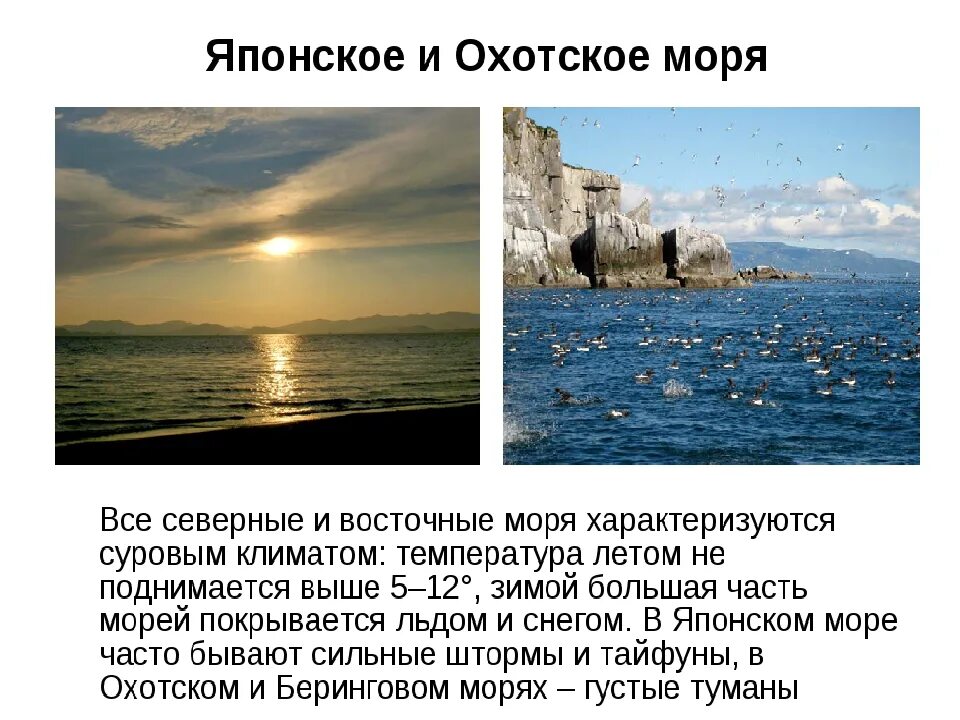 Береговая линия Охотского моря. Характеристика Охотского моря. Характеристика японского моря. Ресурсы моря Охотского моря.