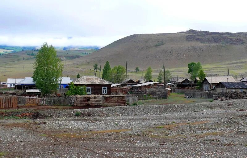 Село курай Республика Алтай. Сила гор, село курай. Село курай Красноярский край. Село курай Дзержинского района Красноярского края.