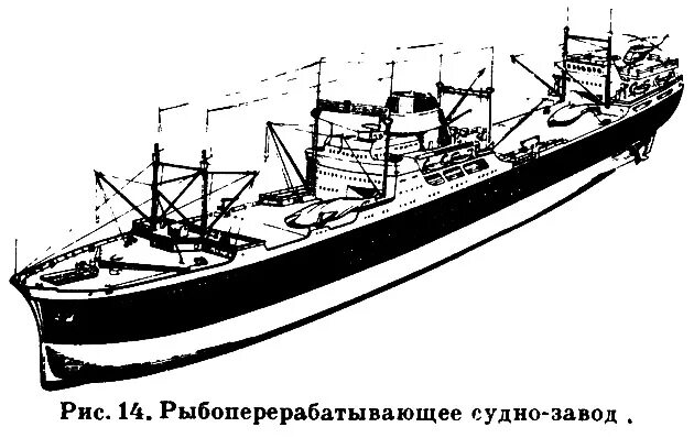 2 гражданских судна. Ледокол Ангара чертежи. Модель гражданского судна. Чертеж рыбоперерабатывающего корабля. Гравировка гражданское судно.