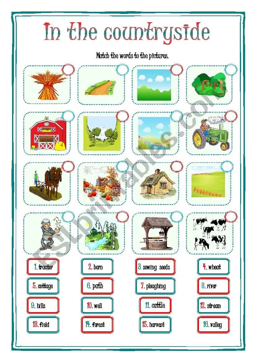 In the countryside worksheets. Country side перевод. Вопросы про countryside. Country side перевод. Pictionary на тему лето.