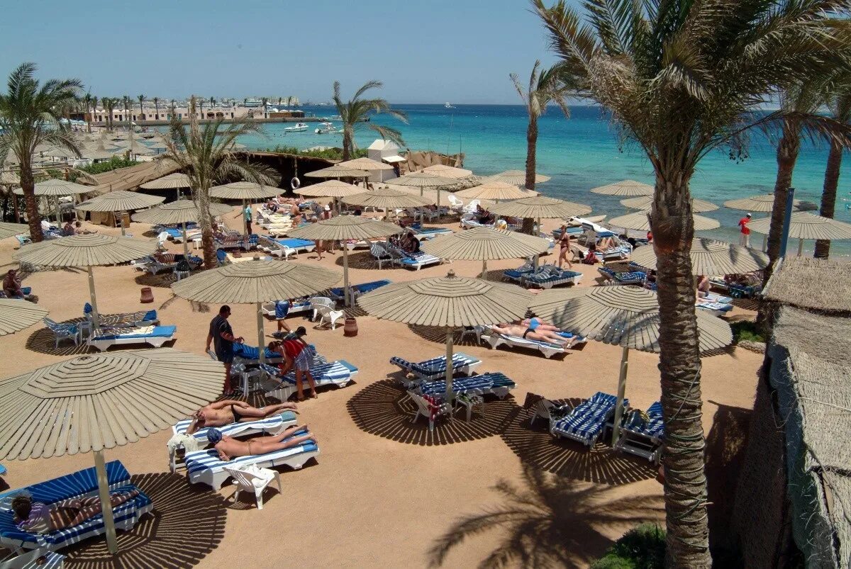 Хургада отель Сигал 4. Отель Сигал Египет Хургада. Seagull Beach Resort Hurghada 4 Египет. Египет Хургада отель Сигал 4.