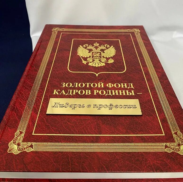 Золотой фонд. Книга золотой фонд кадров России-. Золотой фонд школы. Всероссийская энциклопедия лучшие люди России 2013.