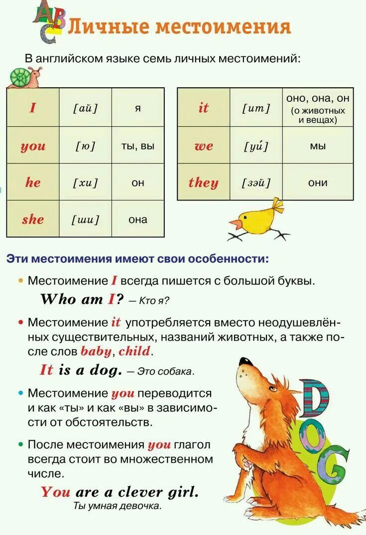 Личные местоимения лица. Глагол to be в английском языке таблица. Dog have или has got. Какое местоимение отвечает на вопрос какой. Указательные местоимения таблица англ.
