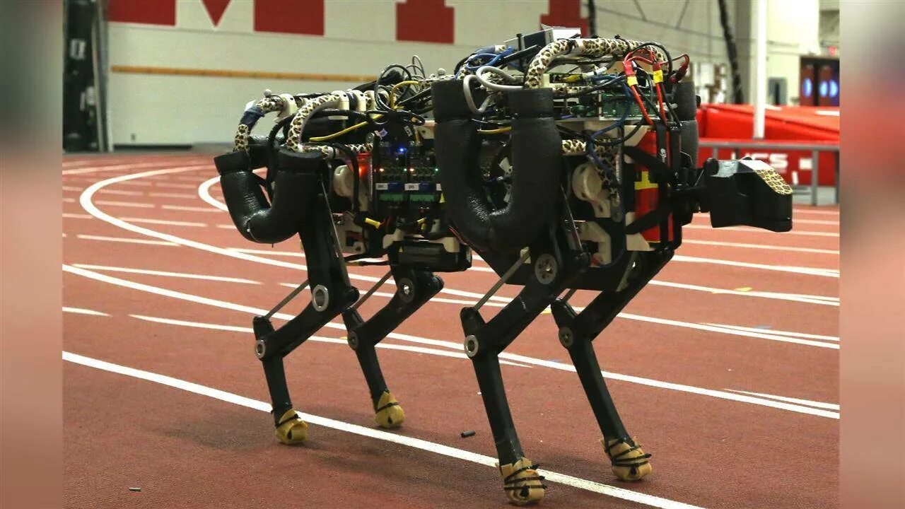 Бостон Дайнемикс Cheetah. Cheetah Boston Dynamics. Шагающий робот. Шагающий мобильный робот.